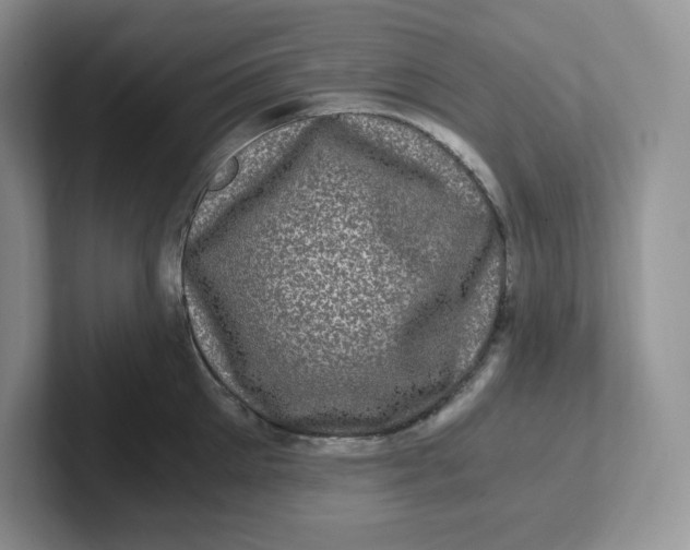 X0000101710905200807311449