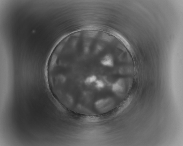 X0000101710907200807311449