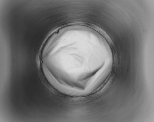 X0000101710908200807311449