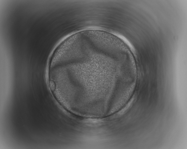 X0000101710910200807311449