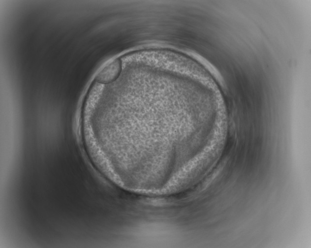 X0000101710911200807311449