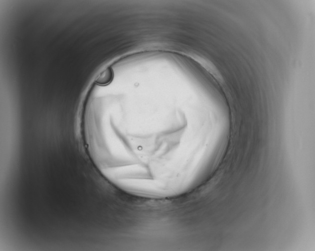 X0000101710912200807311449