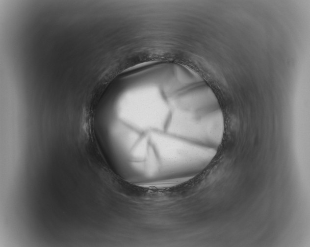 X0000101710914200807311449