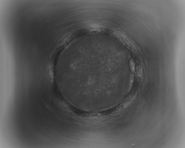 X0000101710916200807311449