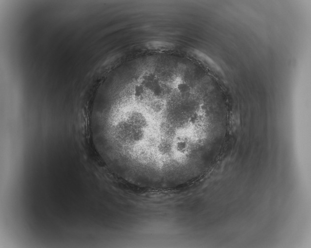 X0000101710917200807311449