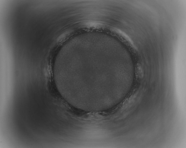 X0000101710918200807311449