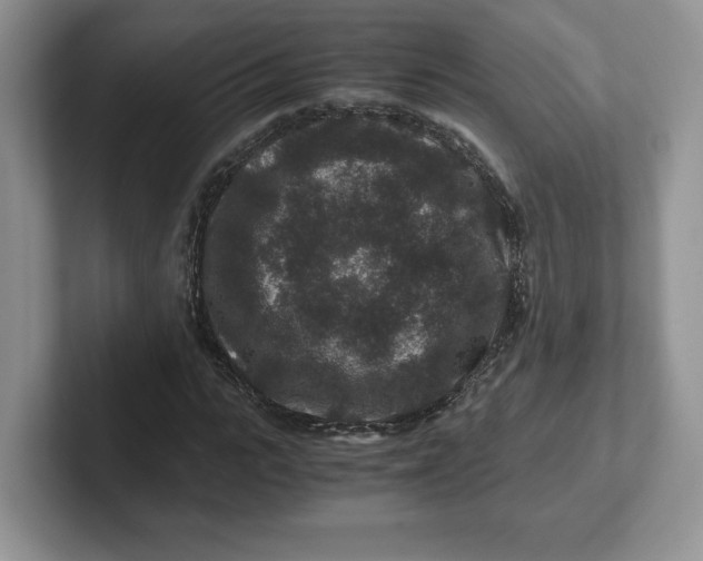 X0000101710919200807311449