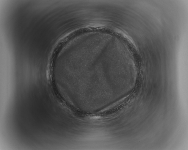 X0000101710920200807311449