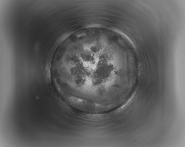 X0000101710921200807311449