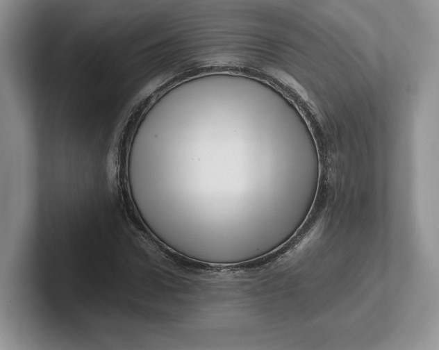 X0000101710922200807311449