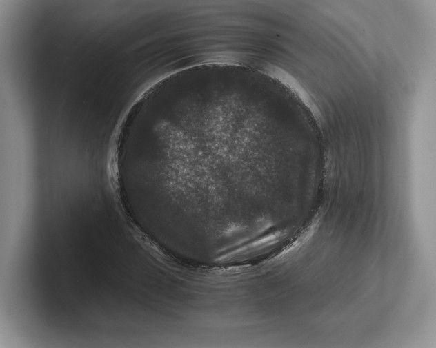 X0000101710923200807311449