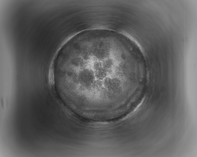 X0000101710925200807311449