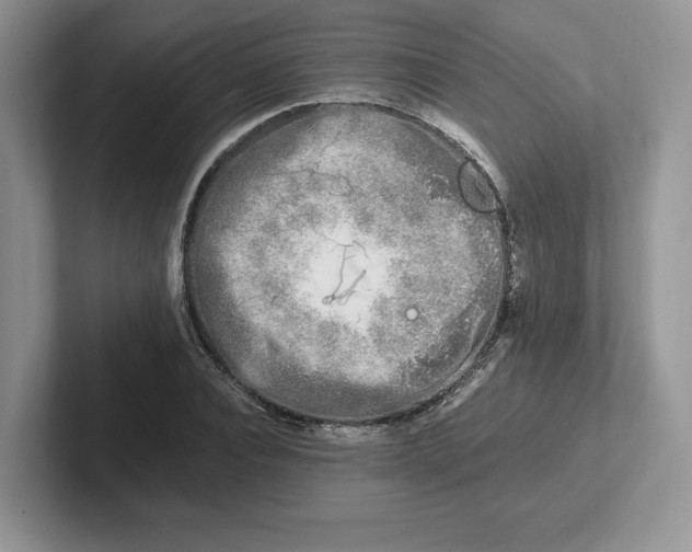 X0000101710928200807311449