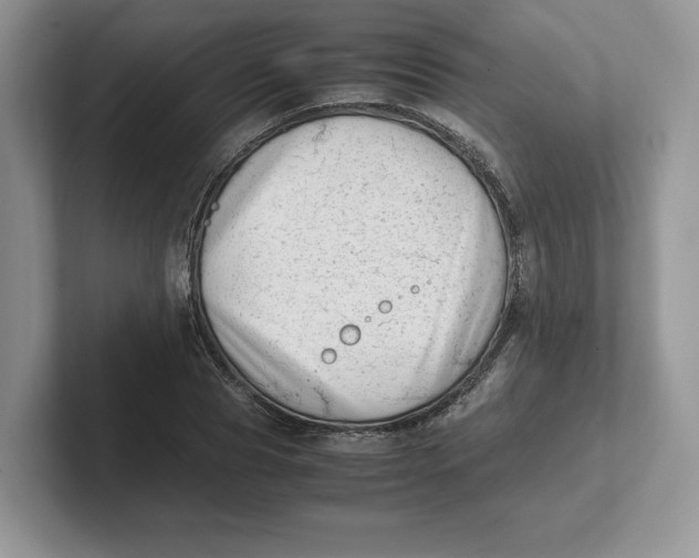 X0000101710929200807311449