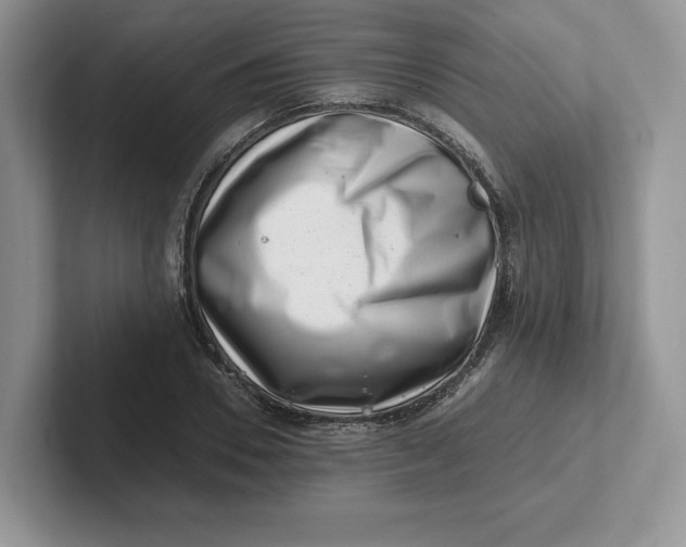 X0000101710930200807311449