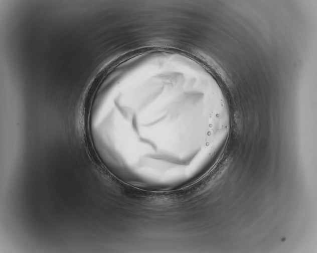 X0000101710931200807311449