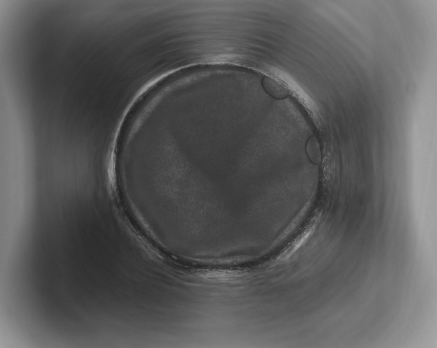 X0000101710932200807311449