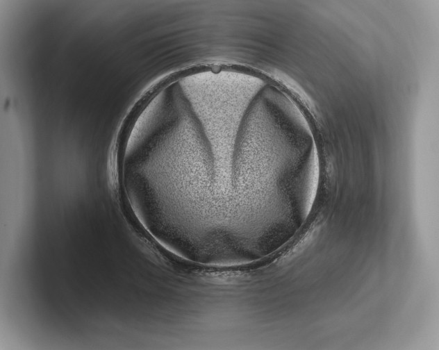 X0000101710934200807311449