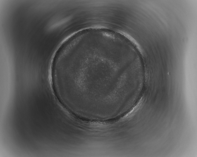 X0000101710935200807311449