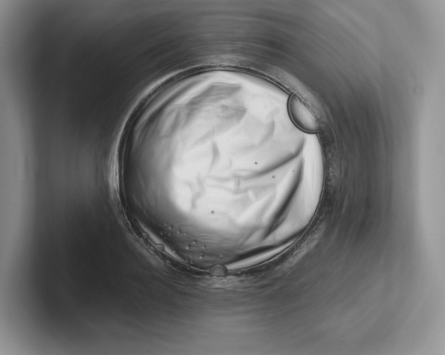 X0000101710940200807311449