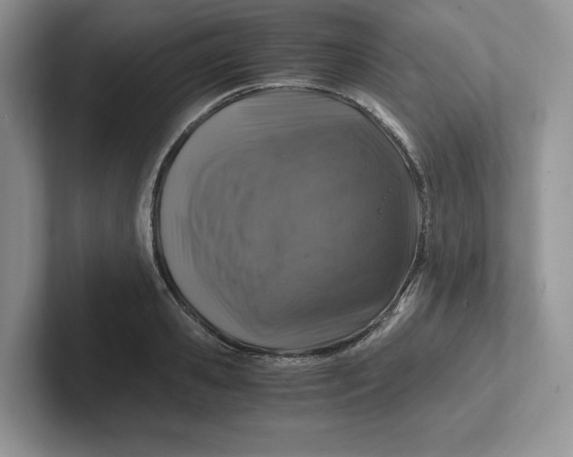 X0000101710941200807311449