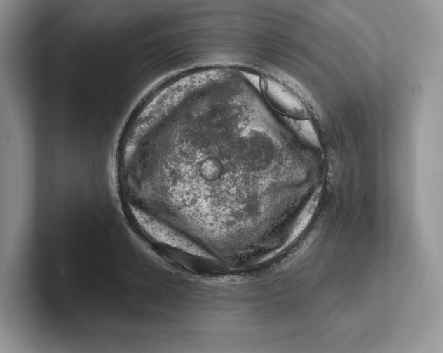 X0000101710942200807311449