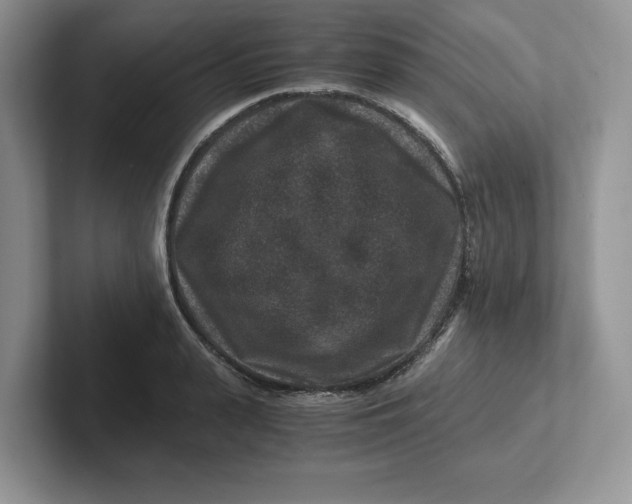 X0000101710943200807311449