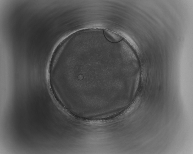 X0000101710944200807311449