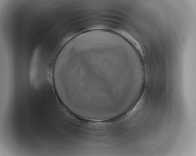 X0000101710945200807311449