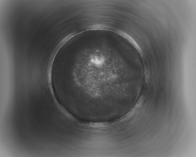 X0000101710946200807311449