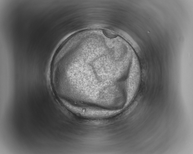 X0000101710948200807311449