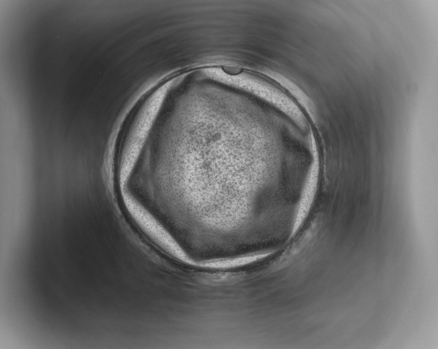 X0000101710949200807311449