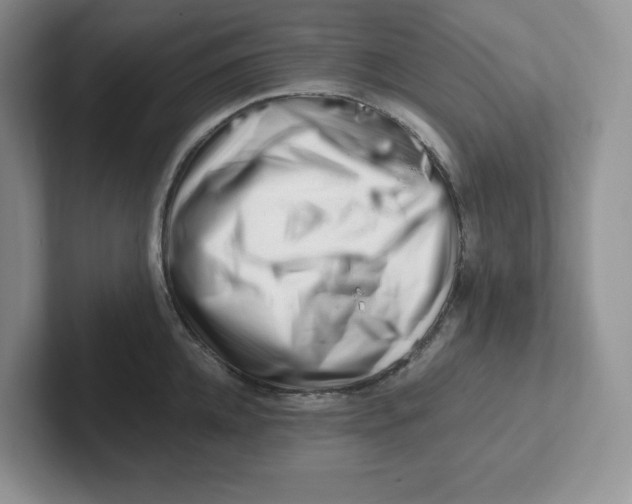 X0000101710952200807311449