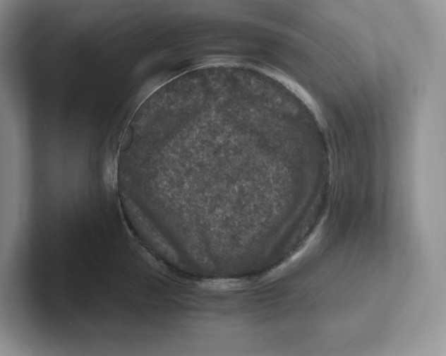 X0000101710953200807311449