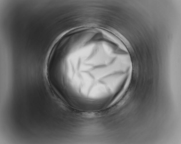 X0000101710956200807311449