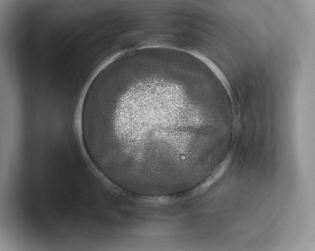 X0000101710957200807311449