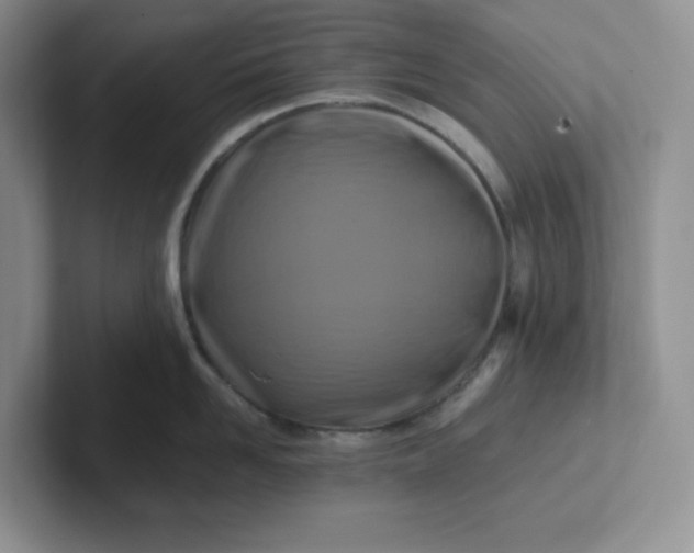 X0000101710958200807311449