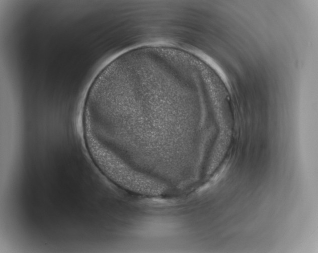 X0000101710959200807311449