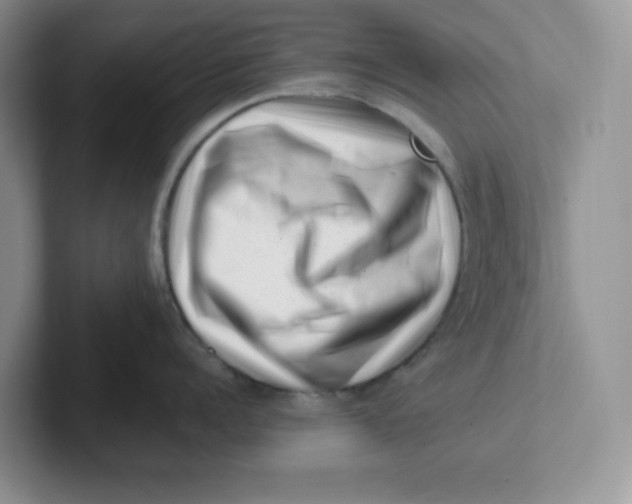 X0000101710960200807311449