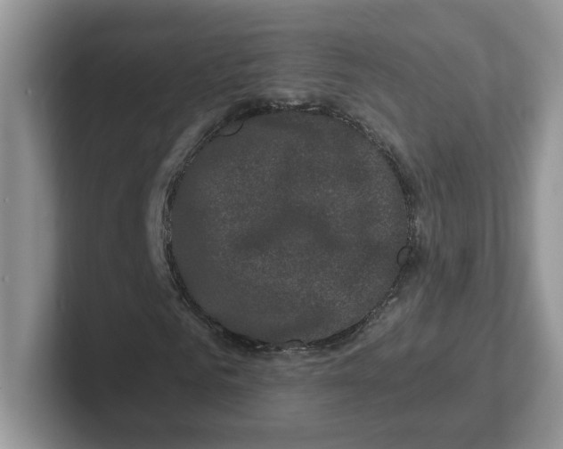 X0000101710961200807311448