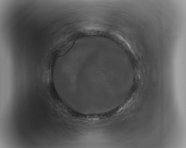 X0000101710965200807311448