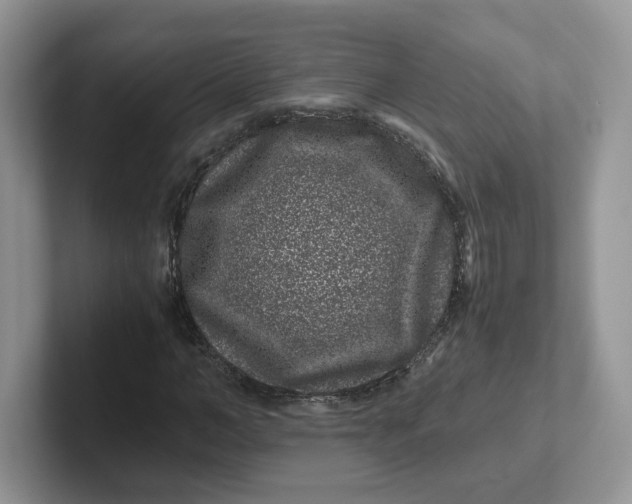 X0000101710966200807311448