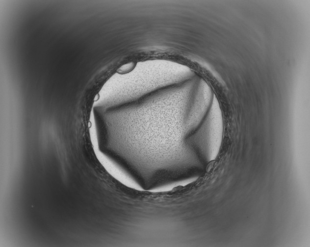 X0000101710967200807311448