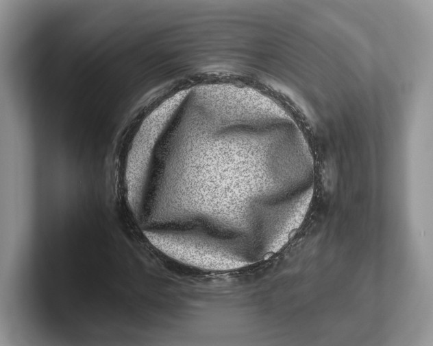 X0000101710968200807311448