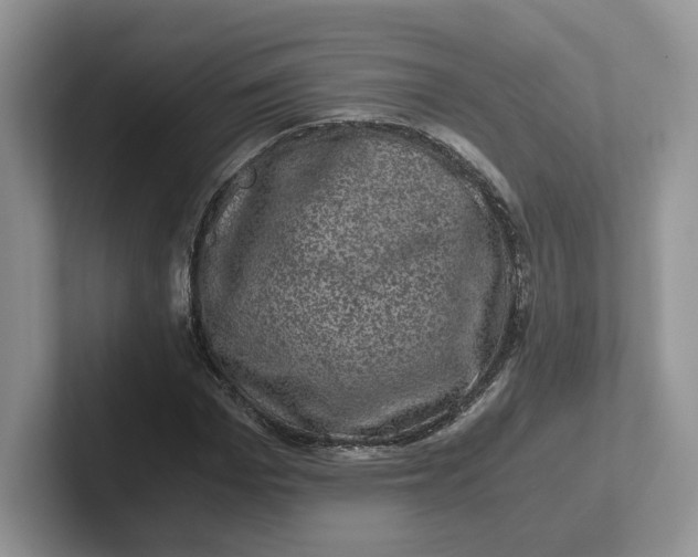 X0000101710969200807311448