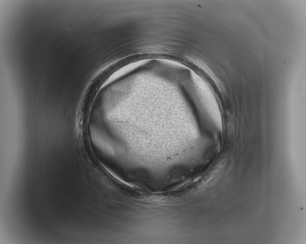 X0000101710971200807311448