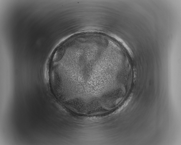 X0000101710973200807311448