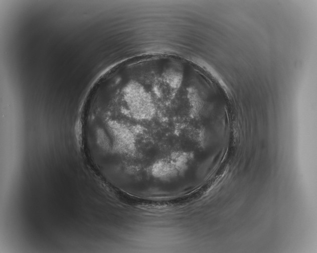 X0000101710975200807311448