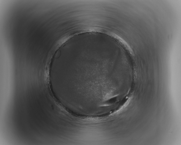 X0000101710977200807311448