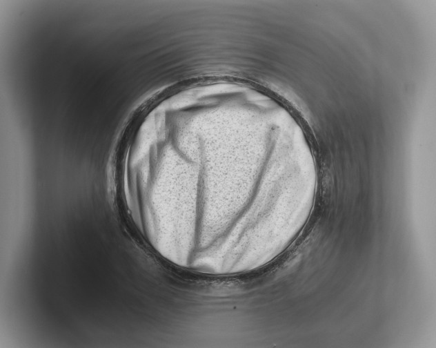 X0000101710979200807311448